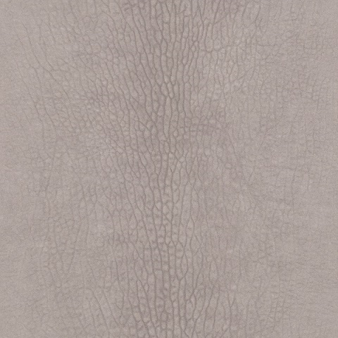 Modern Surfaces