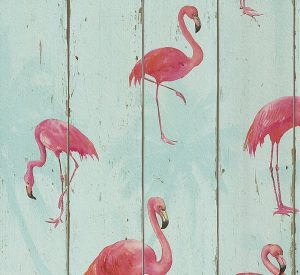 B.B Home Passion V - 479706