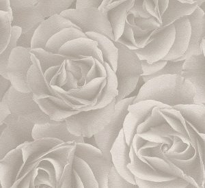 Crispy Paper - 525601