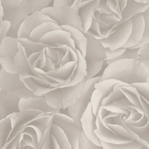 Crispy Paper - 525601
