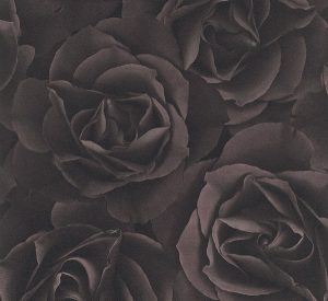 Crispy Paper - 525618