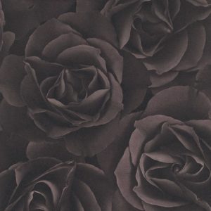 Crispy Paper - 525618