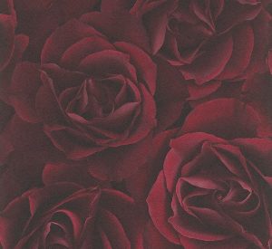 Crispy Paper - 525625