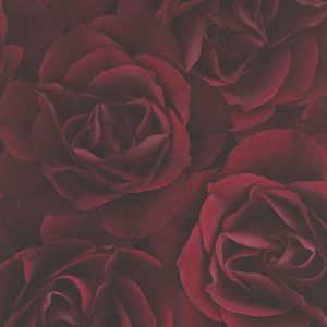 Crispy Paper - 525625