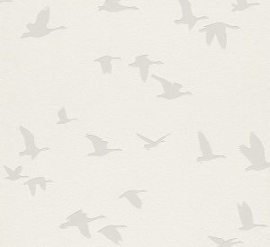 Kids & Teens II  - 503340