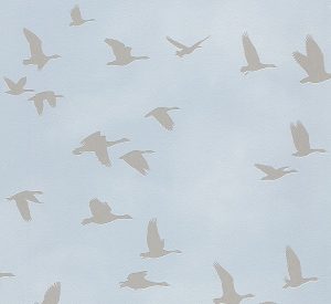 Kids & Teens II - 503357