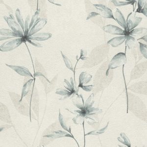 Lucera - 608441