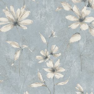 Lucera - 608458