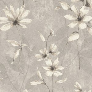 Lucera - 608465