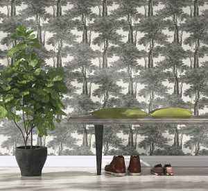 Passepartout - 605419